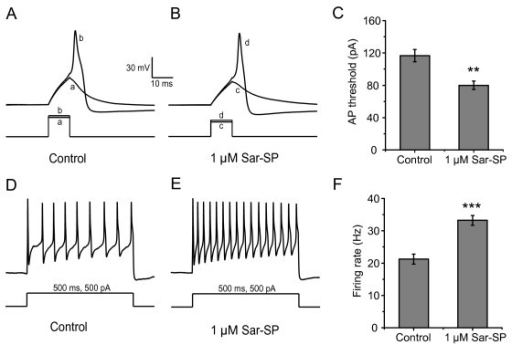 Effect of 1 μM Sar-SP on action potential threshold an | Open-i