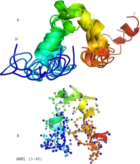 Solution NMR structure of the amelogenin TRAP region (A | Open-i