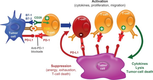 Anti-PD-1 blocks T-cell suppression. Blocking the PD-1 | Open-i