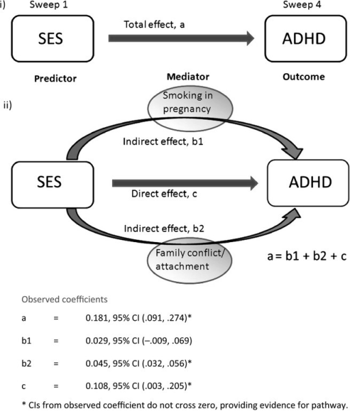 Causal pathway with effect sizes for mediated and nonme ... causal diagram ses 
