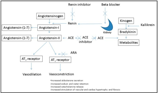 can i take an ace inhibitor and a beta blocker together