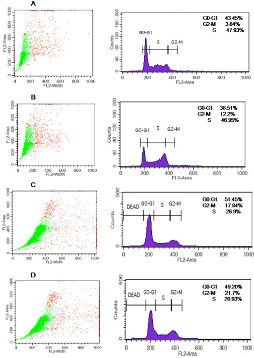 Cell cycle analysis of Y79 cells treated with paclitaxe | Open-i