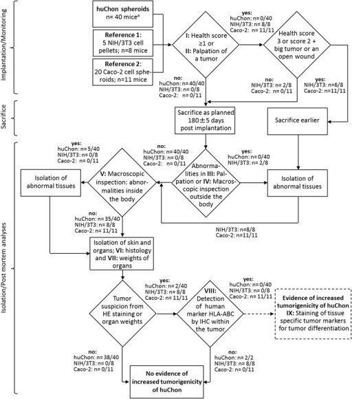 Gpc Flow Chart