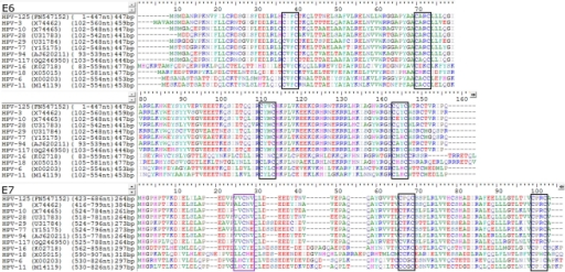 Amino Acid Alignment Of Hpv 125 E6 And E7 Proteins With Open I