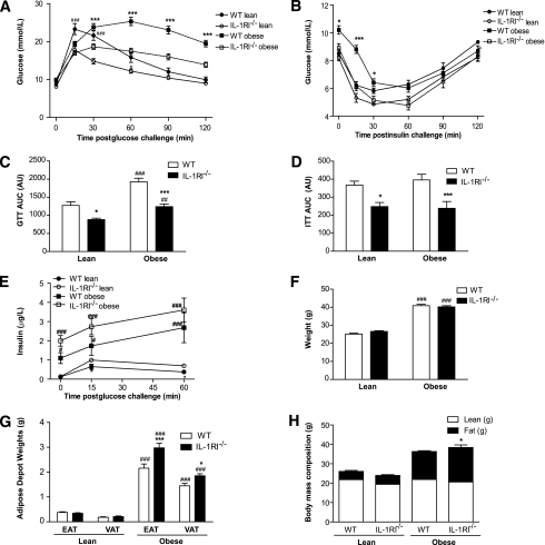 GTT and ITT in WT and IL-1RI−/− mice at baseline an | Open-i