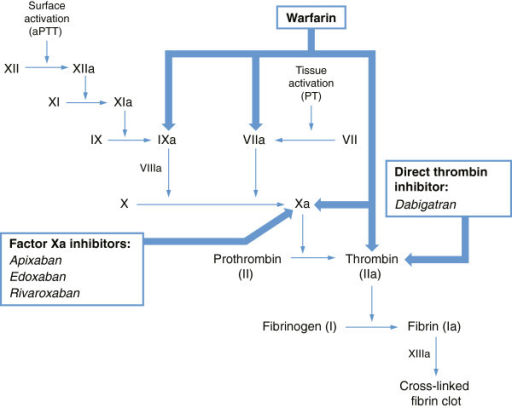 Effects Of Multiple Anticoagulant Medications On The Coagulation