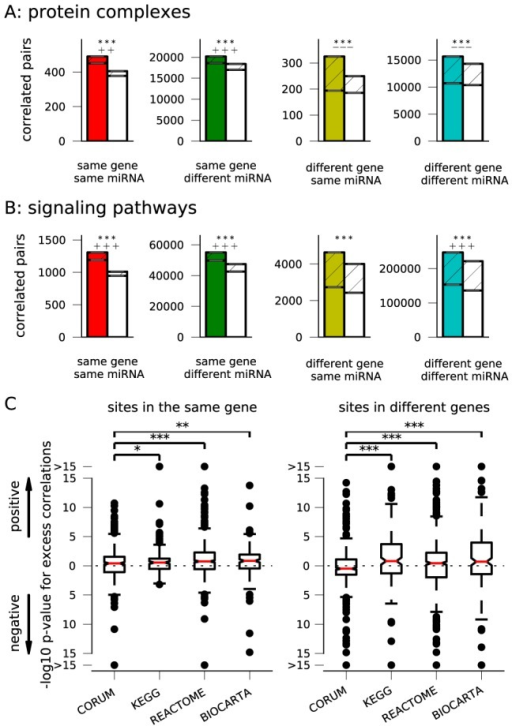 Coordinated regulation.The number of correlated site pa Open i