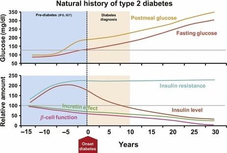 Natural history of type 2 diabetes. Representative depi | Open-i