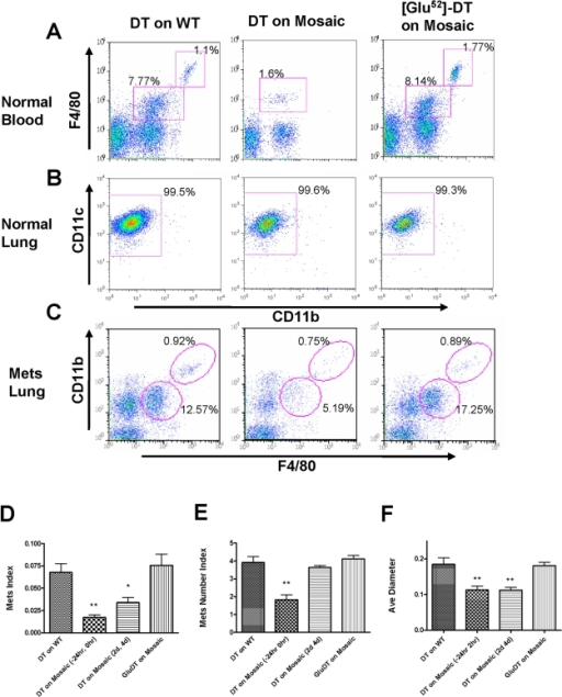 Ablation of CD11b+macrophages blocks tumor cell pulmona | Open-i