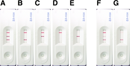 Possible results for the three-line SD Bioline HIV rapi | Open-i