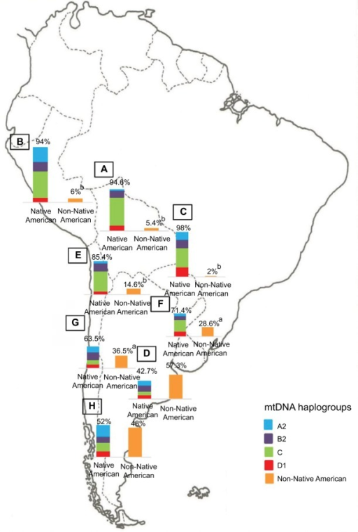 Maternal ancestry.Notes: Prevalence of the Native American and non-Native American mtDNA haplogroups in Bolivia (A, n=185), Peru (B, n=76), Paraguay (C, n=98), and the different geographic regions of Argentina: Central (D, n=991), Northwestern (E, n=250), Northeastern (F, n=260), Western (G, n=175), and Southern (H, n=115) areas. ap&lt;0.005 when comparing samples from the Central region of Argentina with those from the Western and Northeastern regions; bp&lt;0.0001 when comparing samples from the Central region of Argentina with those from the Northwestern region, Bolivia, Peru, and Paraguay. Copyright ©2014. Nature Publishing Group. Adapted from Trinks J, Hulaniuk ML, Caputo M, et al. Distribution of genetic polymorphisms associated with hepatitis C virus (HCV) antiviral response in a multiethnic and admixed population. Pharmacogenomics J. 2014;14(6):549–554.75 Adapted with permission from Trinks J, Hulaniuk ML, Caputo M, et al. Distribución de polimorfismos de nucleótido simple (SNPs) predictores de la respuesta al tratamiento antiviral en la infección crónica por el virus de la hepatitis C (HCV) en las distintas regiones geográficas de Argentina [Distribution of singlenucleotide polymorphisms (SNPs) predictive of antiviral treatment response in hepatitis C virus (HCV) chronic infection in different geographic regions in Argentina]. Medicina (B Aires). 2014;74 (Suppl 3):S117–S118. Spanish.76Abbreviation: mtDNA, mitochondrial DNA.