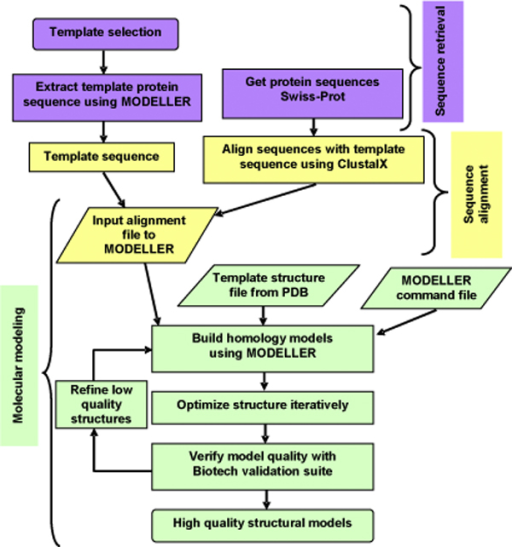 Flowchart Of The Three-step Modeling Procedure Used In | Open-i