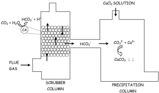 Дана схема превращений co co2 caco3 co2