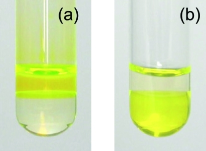 Fluorescein sodium (A) and 5-dodecanoylaminofluorescein | Open-i