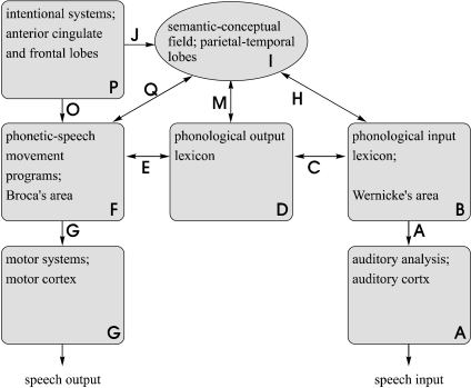 Modified Wernicke-Kussmaul-Lichtheim schema. In this mo | Open-i