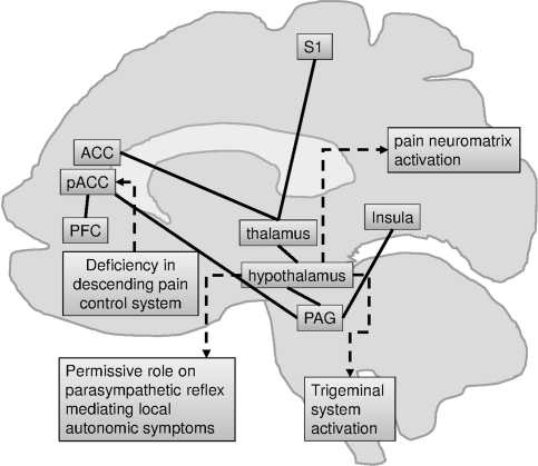 Schematic brain representation summarizing the findings | Open-i