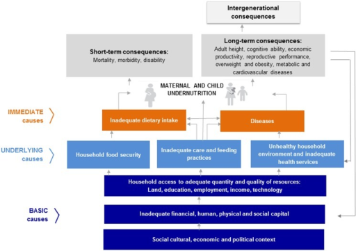 The UNICEF conceptual framework of undernutrition