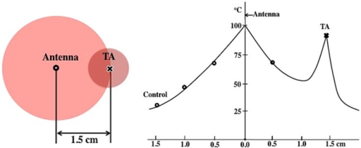 A Schematic Depiction Of Typical In Vitro Microwave Open I A Schematic Depiction Of Typical In Vitro Microwave Ablation With Ta Left And