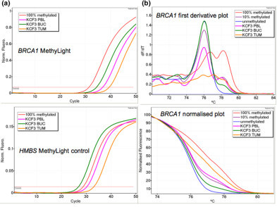 Methylation analysis of BRCA1 in KCF3. (a) MethyLight r | Open-i