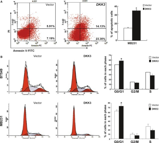 DKK3 induced apoptosis and cell cycle arrest in breast | Open-i