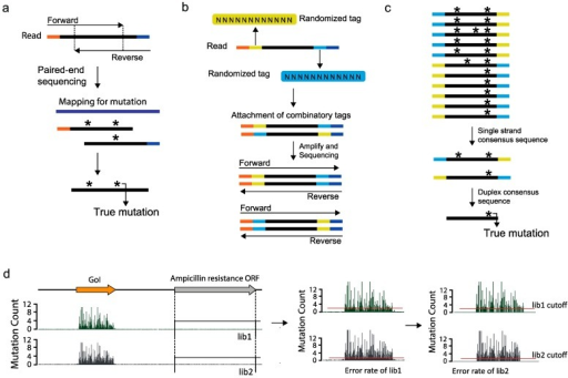paired end sequencing