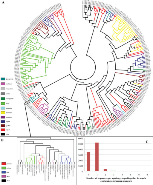 Phylogenetic tree of all gpcr sequences a visualizati open i