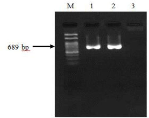 Heartworm hot sale dna test