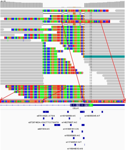 Vardict Calls A New Class Of Complex Variants The Clea Open I