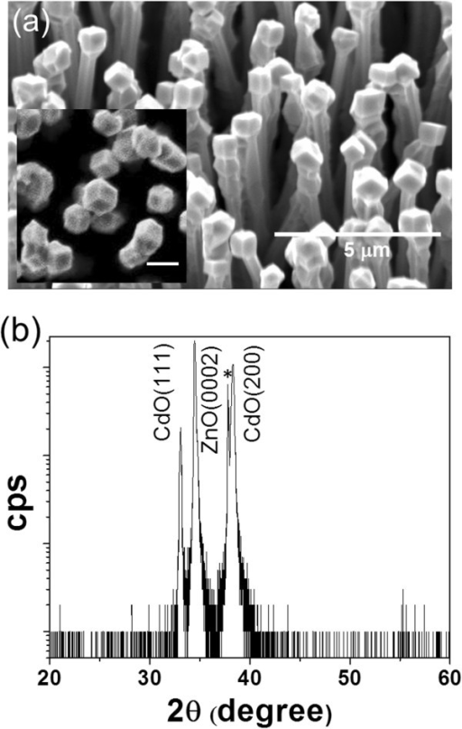 sio2 and zno core shell