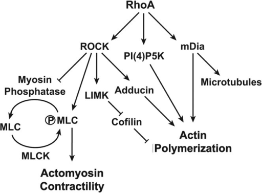 read microlithography