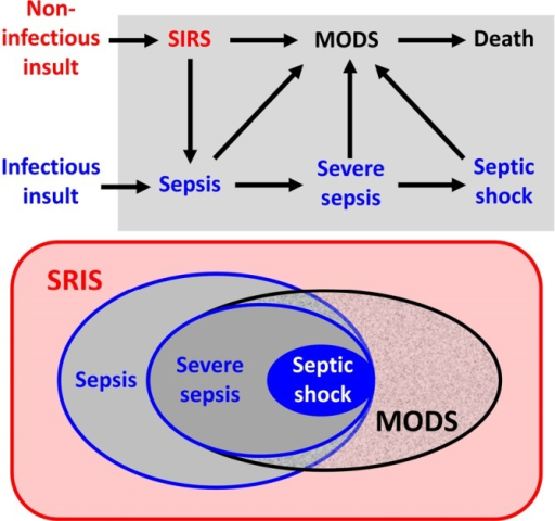 Relationship Between Systemic Inflammatory Response Syn Open I