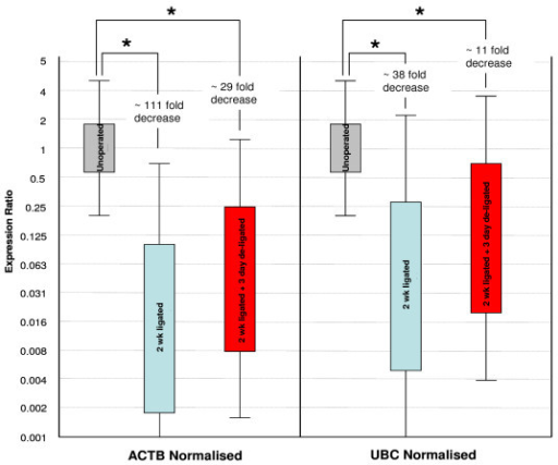 Whisker Box Plots Showing SMGB Gene Expression In Terms | Open-i