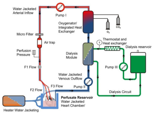 Schematic view of the perfusion system. Starting from t | Open-i