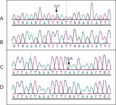 Sanger sequencing confirmation of EMS mutations at posi | Open-i