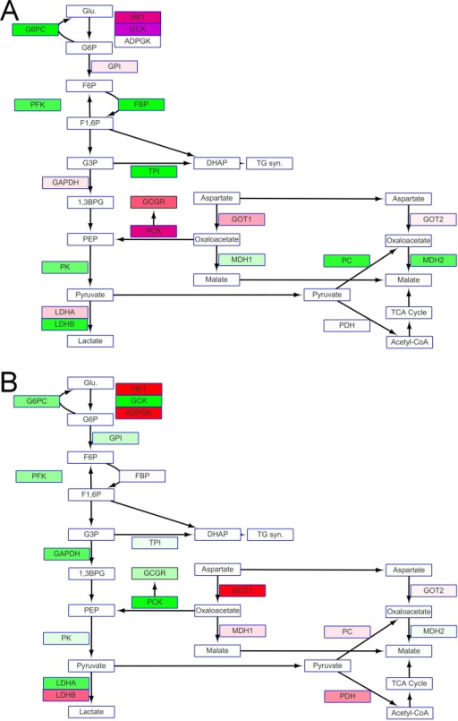 (A) Glycolysis in fish in FW at 18°C appeared vigorous | Open-i