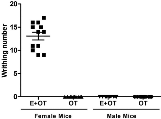 sex and oxytocin