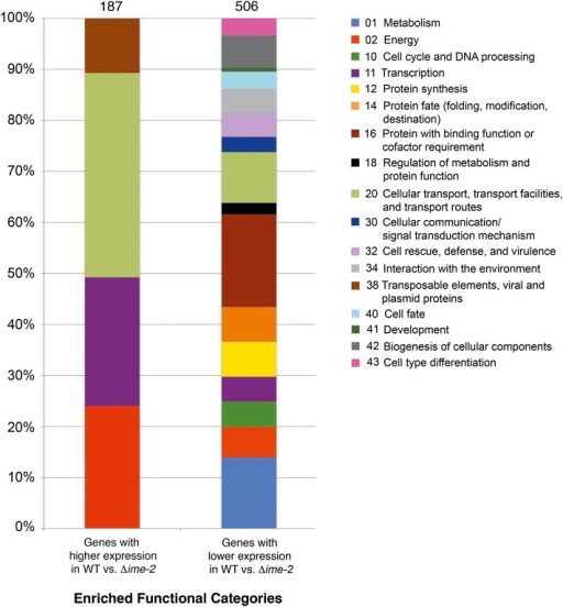 an analysis of the expression of a gene in protein synthesis L-arginine upregulates the gene expression of target of rapamycin signaling pathway and stimulates protein synthesis in chicken intestinal epithelial cells. an analysis of the expression of a gene in protein synthesis L-arginine upregulates the gene expression of target of rapamycin signaling pathway and stimulates protein synthesis in chicken intestinal epithelial cells.