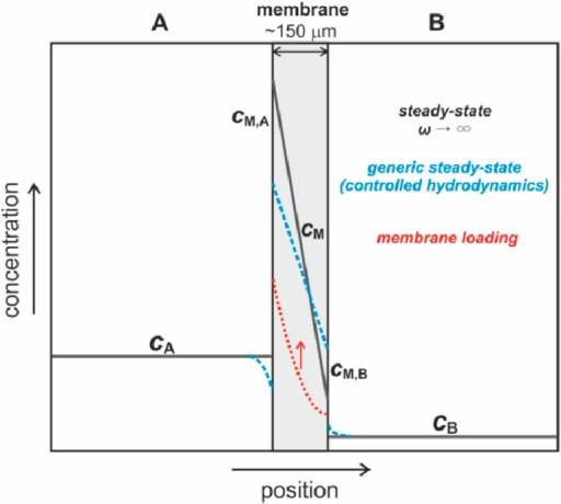 Concentration at Steady-State - an overview