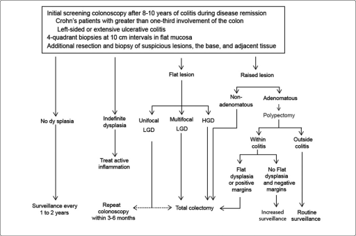 Summary of IBD colorectal neoplasia surveillance. LGD ( | Open-i