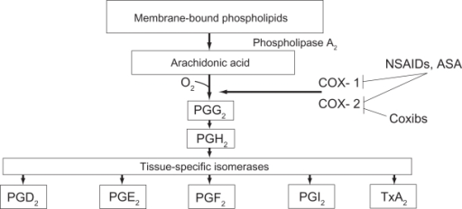 Prostaglandin And Thromboxan Biosynthesis After Fitzge Open I