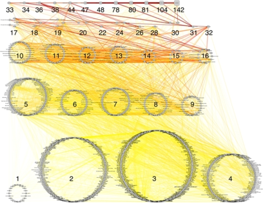 A network representation of the CORUM database.Nodes re Open i