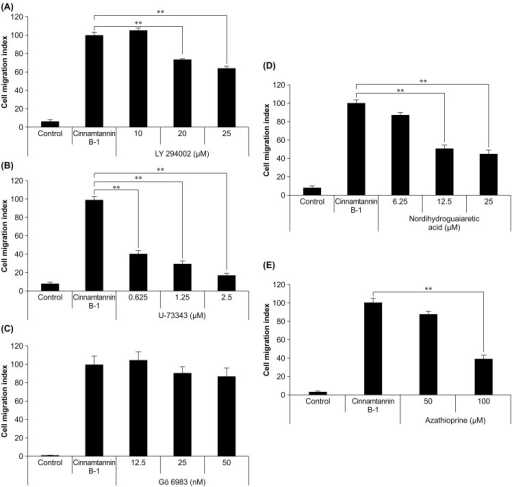 Effects Of Specific Inhibitors On Cinnamtannin B 1 Indu Open I