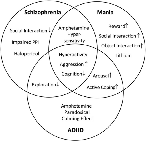 Distinction And Overlap Of Endophenotypes Characteristi | Open-i