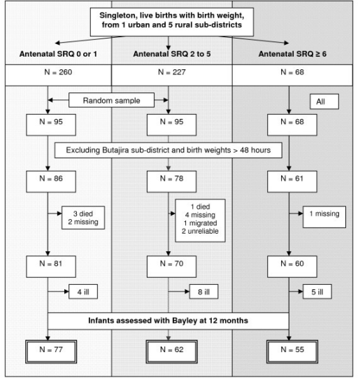 Flow diagram showing sampling of infants for Bayley sca | Open-i