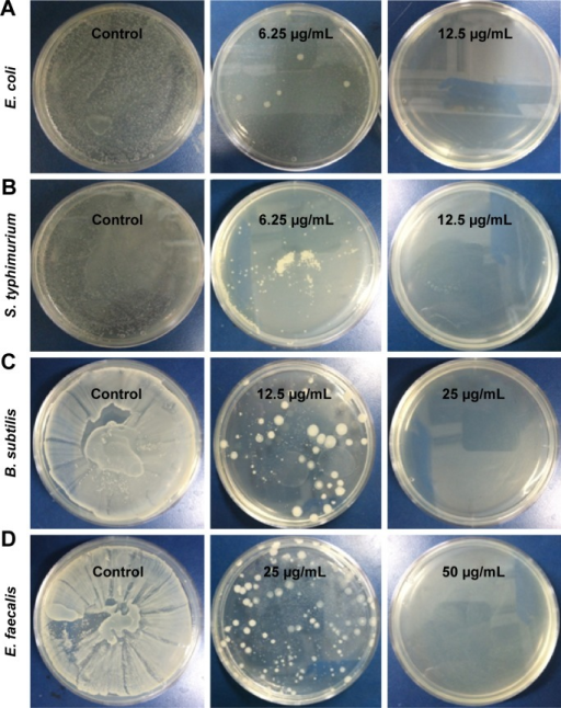 Representative Petri plate images showing the variable Openi