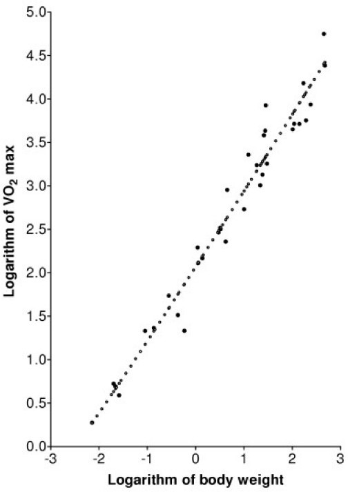 Regression Analysis Of Mmr Data In Table 1 Vo2 Max Open I Regression Analysis Of Mmr Data In Table 1 Vo2 Max Ml Min And