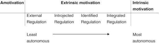 The self-determination continuum (adapted from Deci and | Open-i