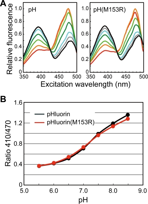 pH dependence of fluorescence excitation spectra and Ra | Open-i