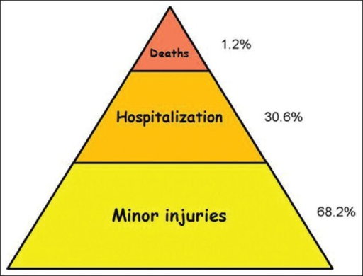 Injury pyramid of injury cases at Trauma Unit, Universi | Open-i