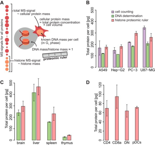 mass of dna per cell